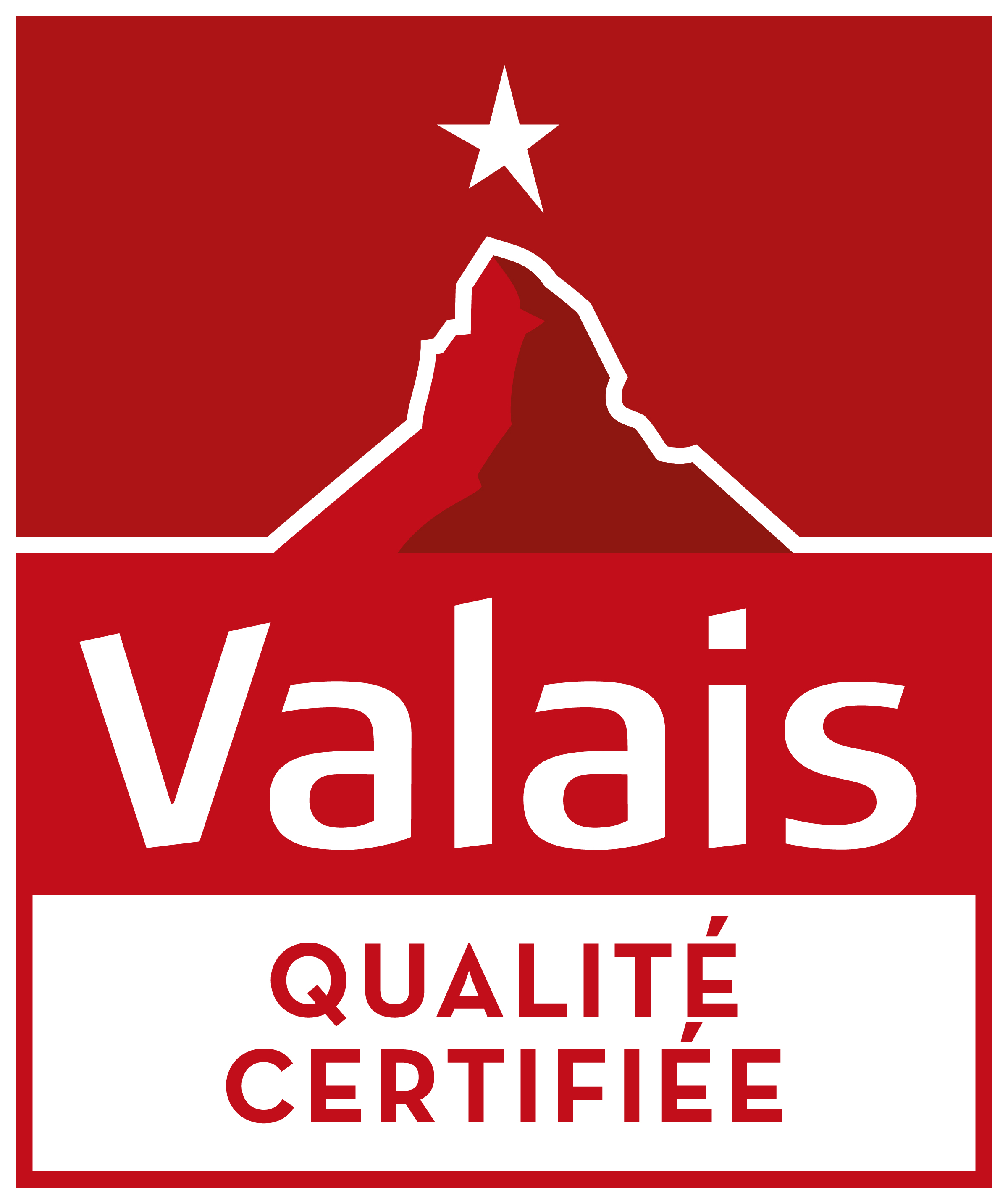 logo marque valais