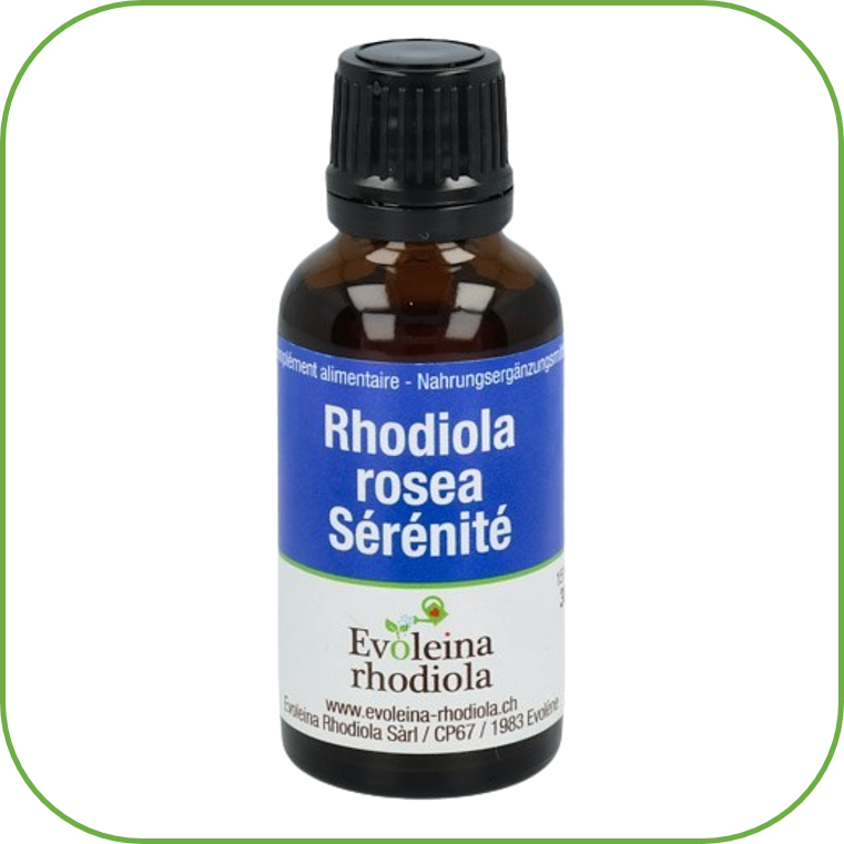 Serenite 1 Slide Bas