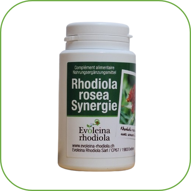 Slide Bas Synergie Hej