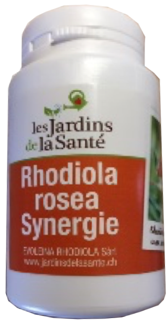 synergie